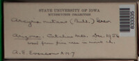 Image Associated With the Occurence